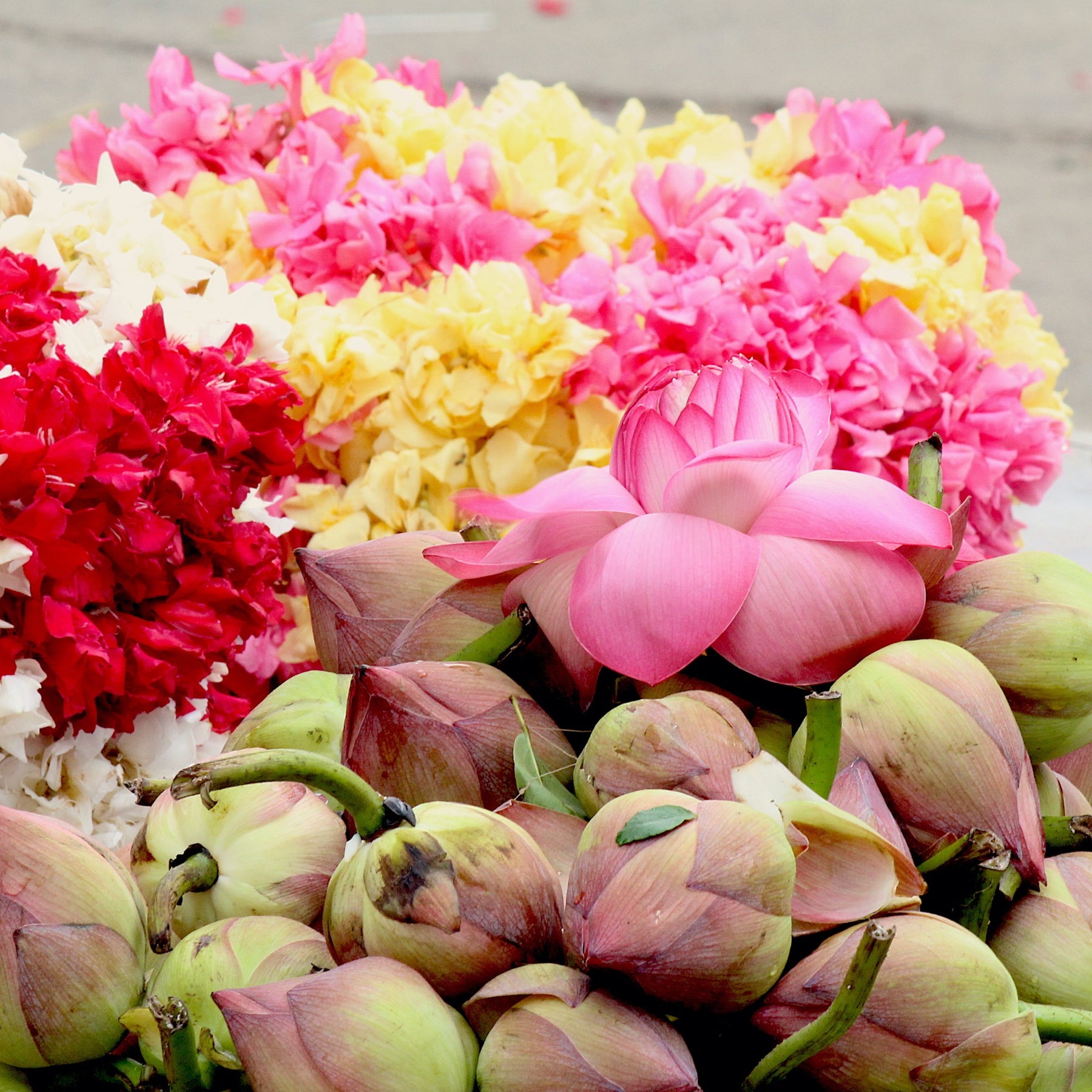 Flowers, Blooms, and Looms… a Visit to Kanchipuram Flower Market