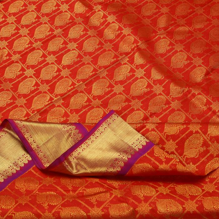 Of Timeless Celebrations - Wedding Sarees