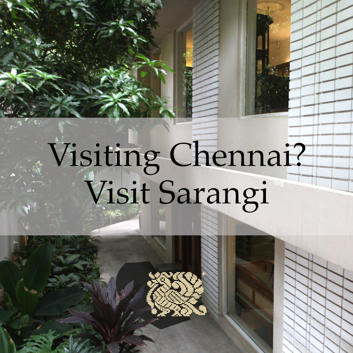 Visiting Chennai? Visit Sarangi